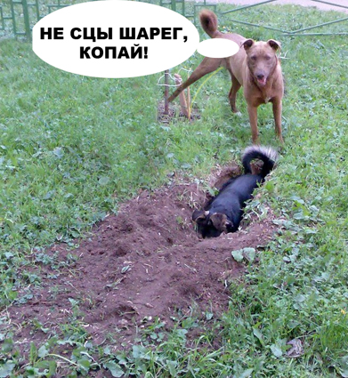 Фотожаба: да здесь где-то недалеко!
