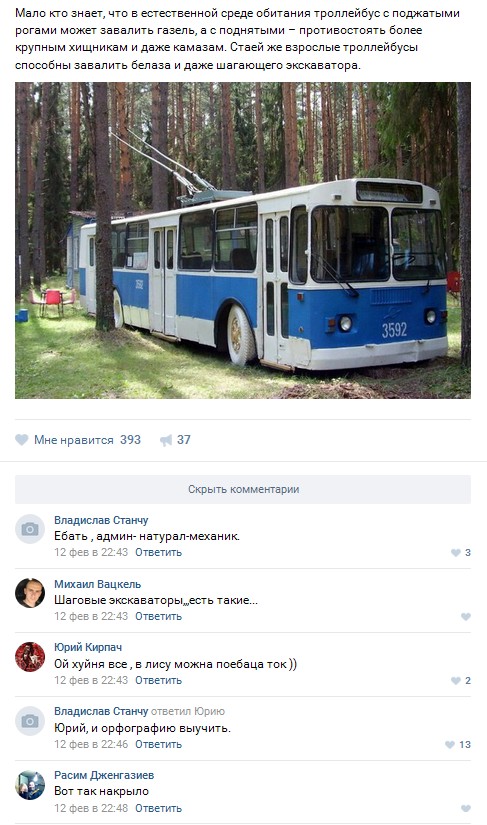 Ужасы и приколы из соцсетей 18+