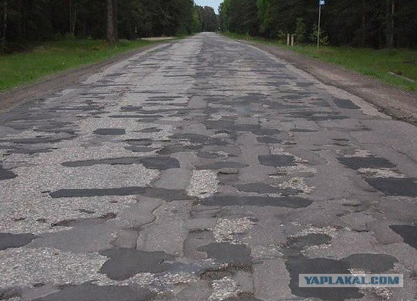 Подборка интересных и веселых картинок