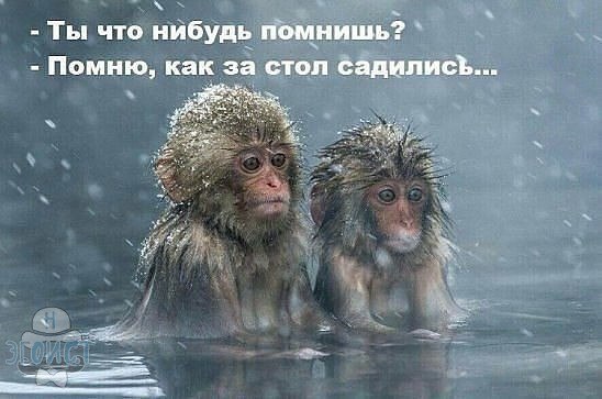 Смешные комментарии из социальных сетей 23.03.2018