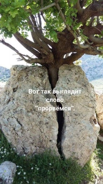 Чуток картинок! 14.11.19