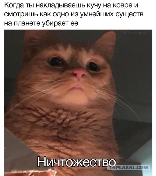 Бредзона 07.02.2020