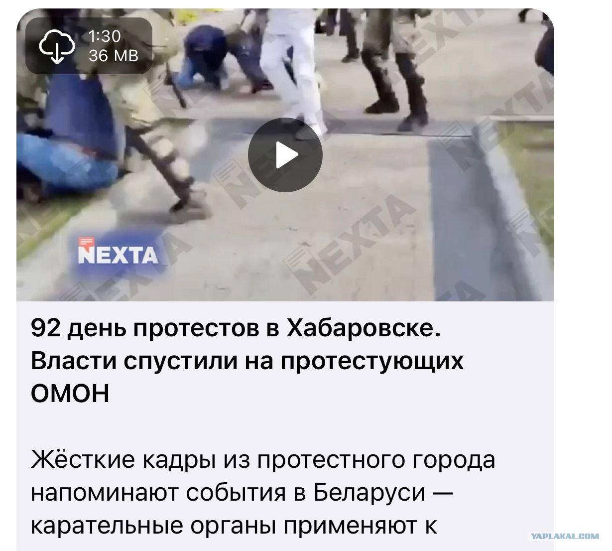 соловьиный помет telegram