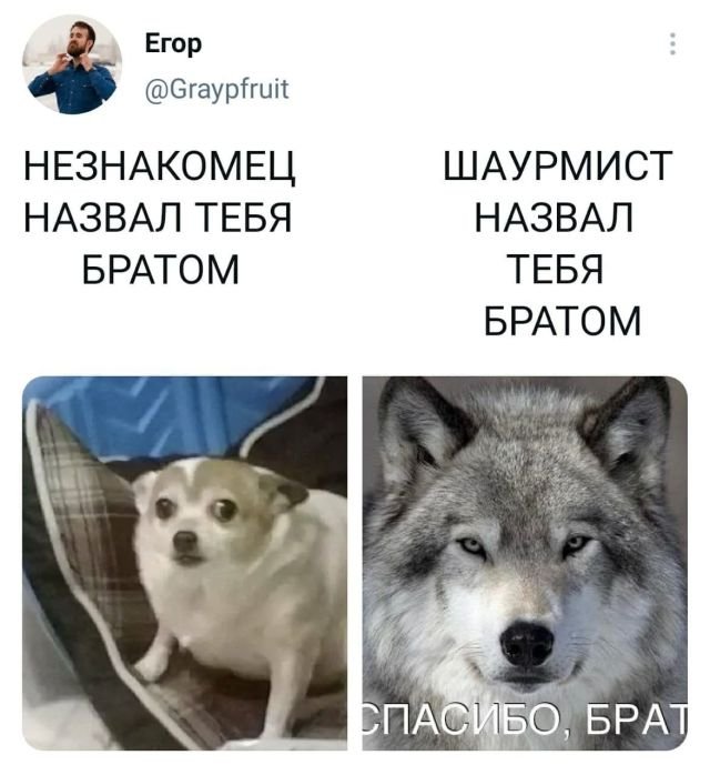 Картинки с надписями и всякие жизненные фразы 27.06.21