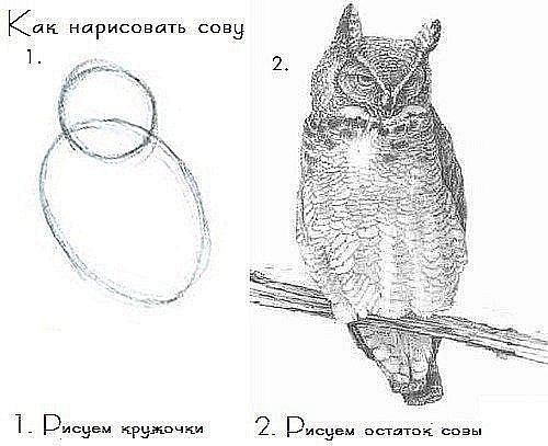 Из мусора