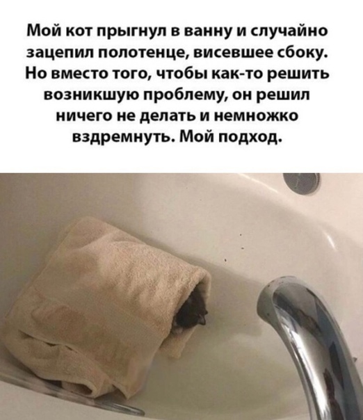 Картинки и мемы для настроения 12.08.2021