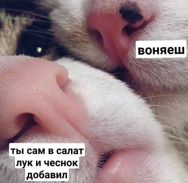 Так себе картинки 29.08.21