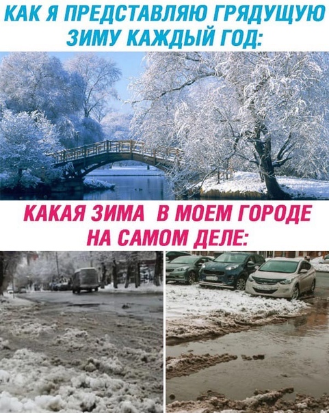 Весёлый полтишок 22.10