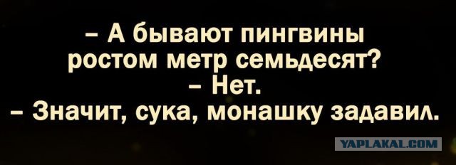 50 оттенков серого Vol.5 . Или самосвал баянов