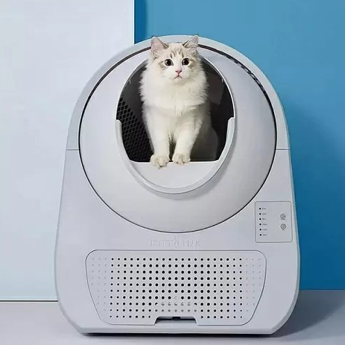 Про котиков и гов...