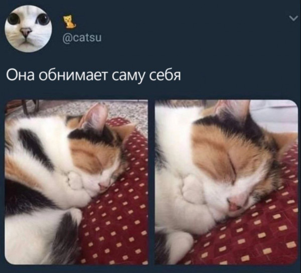 Немного картинок для настроения - 114