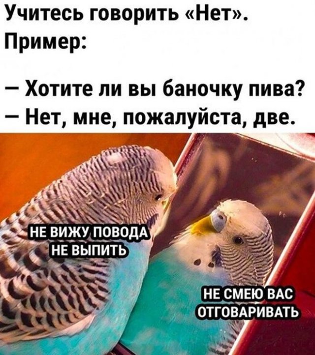 Картинки и мемы для настроения - 123