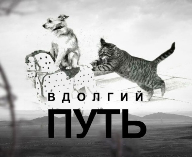 «В силу сложившихся обстоятельств»: группа «Little Big» распустила коллектив