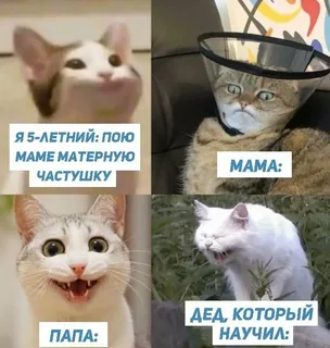 Вы подружились с дедом⁠⁠