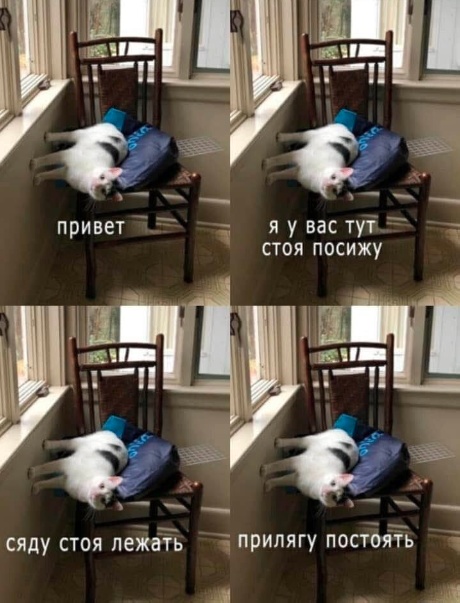 Начнем с картинок
