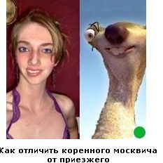 Автодемотиватор на ЯПе