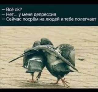Картинки и стишки депресняшки -4