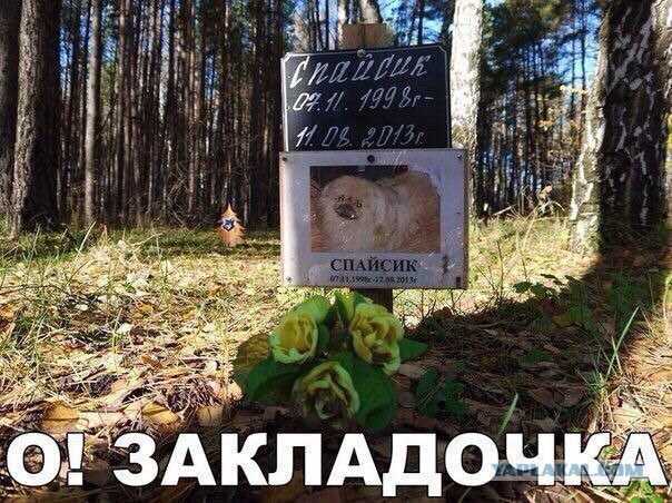 Своеобразный юмор картинок