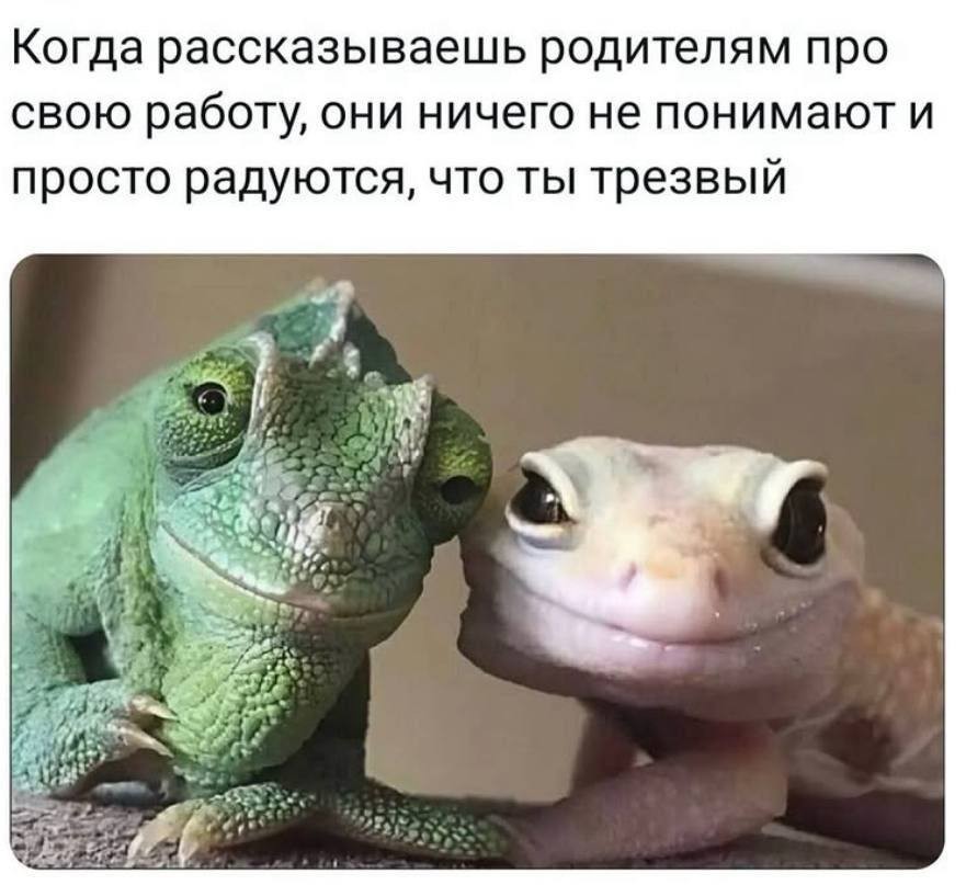 20575177.jpg