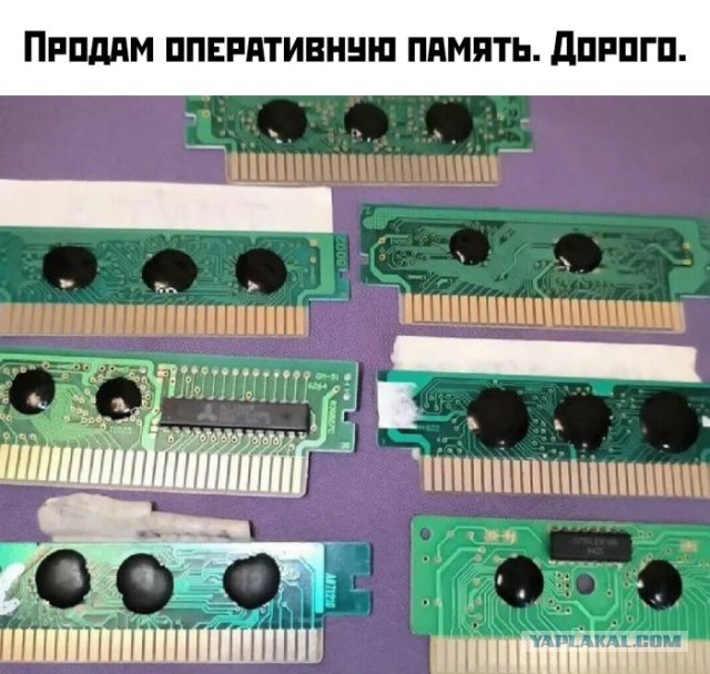 Россияне сметают с полок видеокарты: продажи выросли на 400%, а в Петербурге — почти на 800%