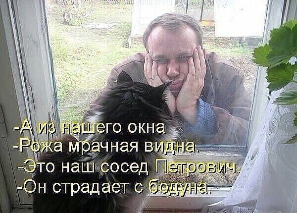 Субботние картинки