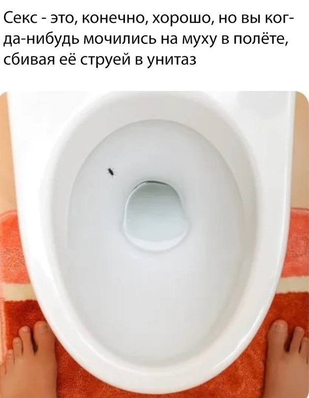 Картинки для деградации 209 (разной степени свежести)