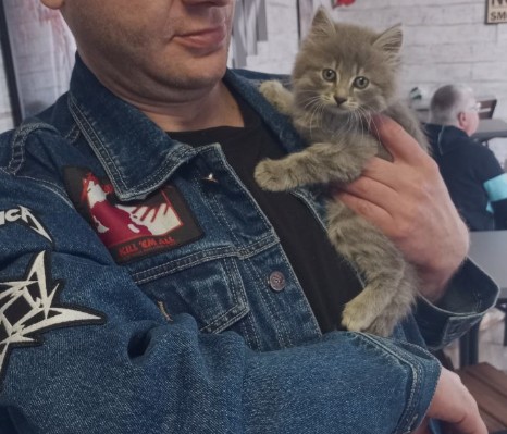 В продолжение темы "Назвал Дымом" (про котэ)