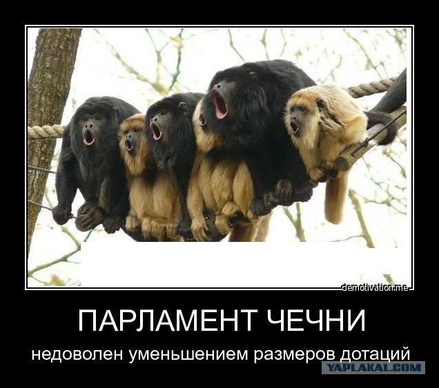 Чечню прошёл!