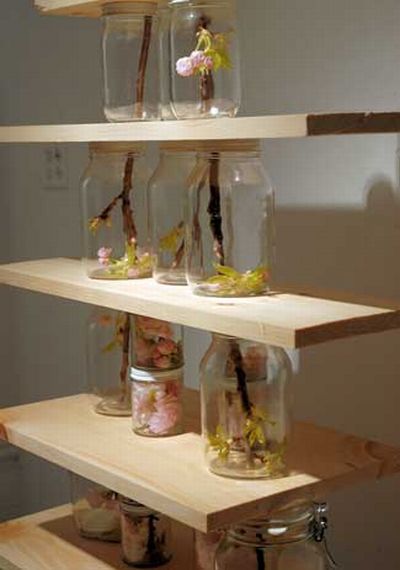 Урбанистическая консервация (8 фото)