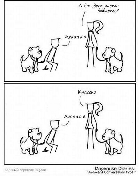 Насколько собакам проще