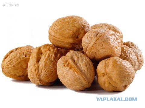 Смешные комментарии из социальных сетей.