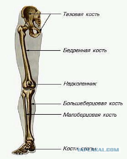 Находки одна хуже другой...