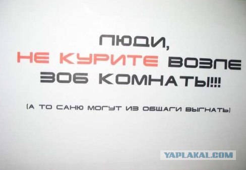 Студенческий быт