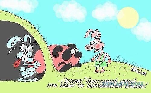 Смешные картинки