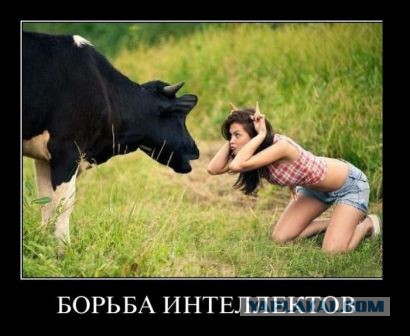 Немного картинок с просторов