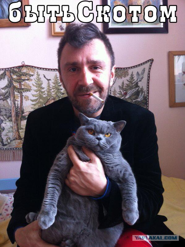Молодой Шнур