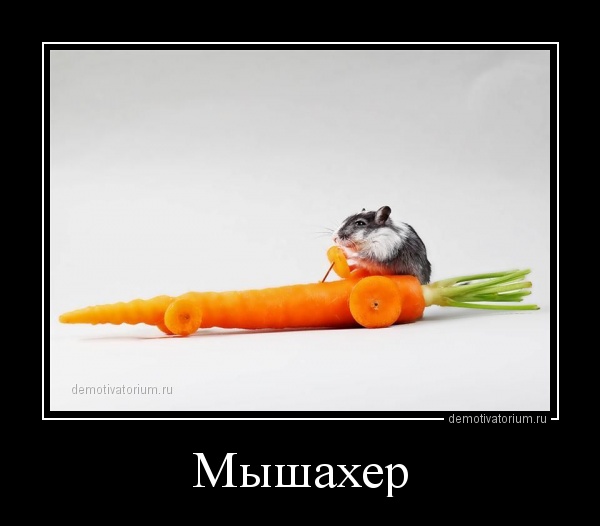 А надо ли предлагать деньги?