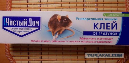 Как поймать мышь. Отчет.
