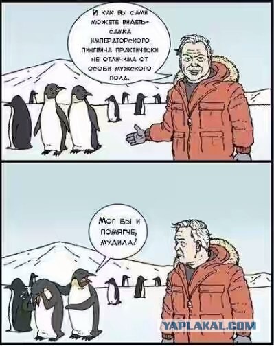 Абсурдный юмор ч. 23