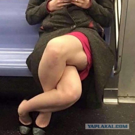 Настоящий фотограф всегда найдёт удачный ракурс!