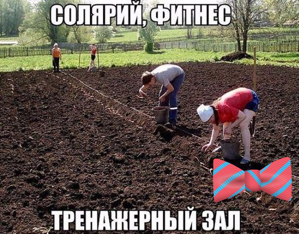 Худеющим и тем кто любит поесть посвящается ^^