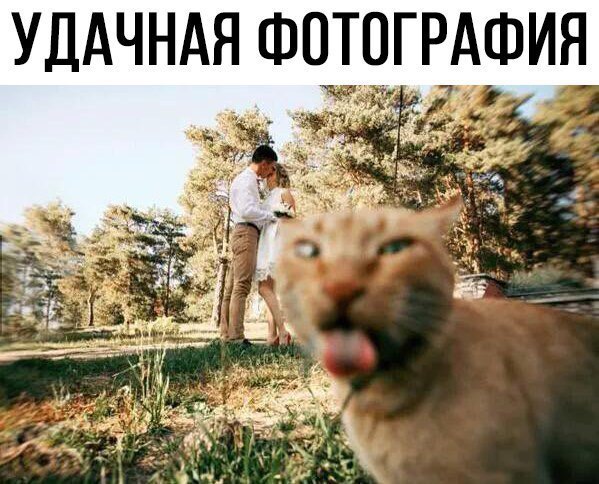 Порция стандартного деграюмора