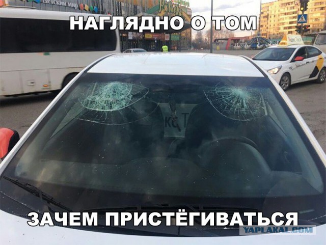 Вот для чего надо пристегиваться в транспорте