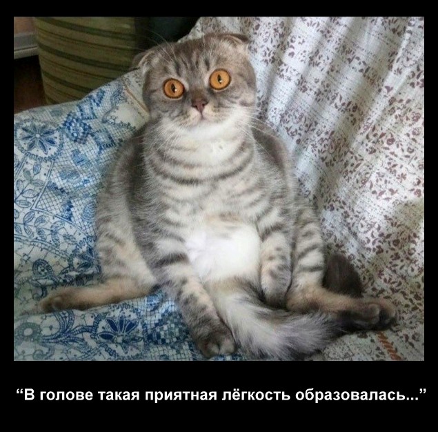 Чуток картинок! 15.01.2020