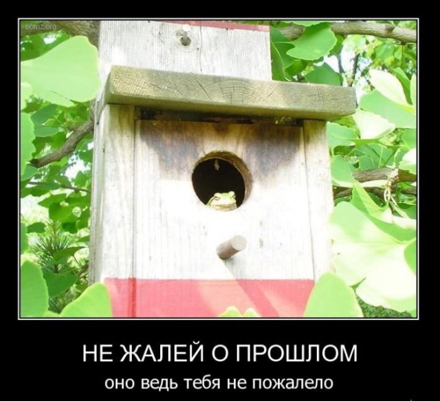 Подборка баянистых картинок