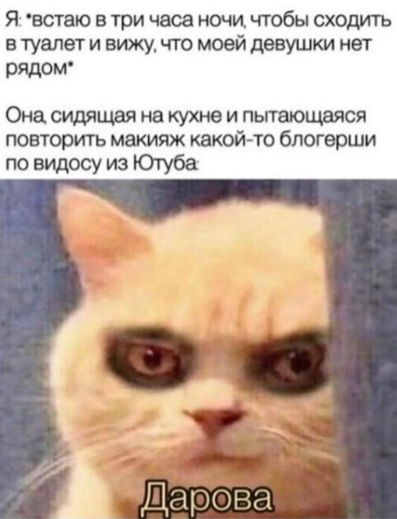 Сотня картинок для настроения 25.12.2020