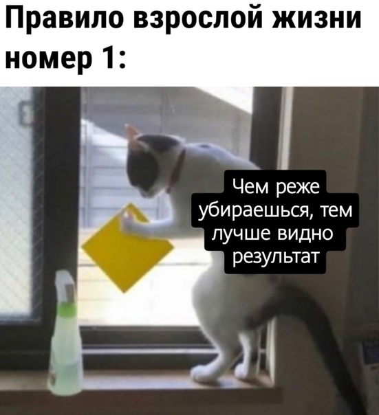 Картинки и мемы для настроения 023