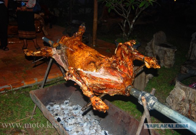 Мы идем гулять!