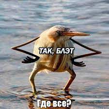 Где все сёла и деревни? Где все люди? Почему за городом на многие тыс. километров пустота и ни души? Где всё сельское хозяйство?