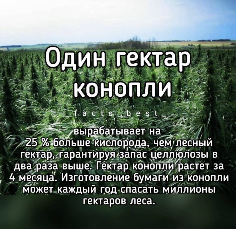 16188277.jpg